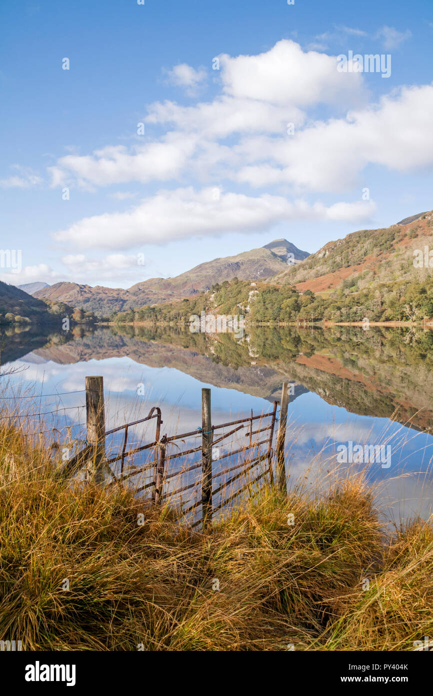 Reflections on Llyn Gwynant in the Nant Gwynant Valley, Snowdonia National Park, North Wales, UK Stock Photo