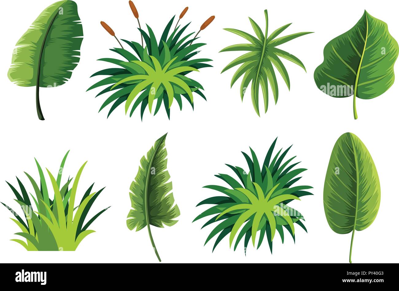 A set of nature leaf illustration Stock Vector Image & Art - Alamy