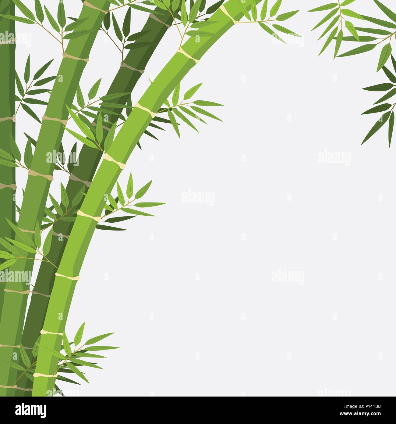 bamboo plant on white background illustration Stock Vector