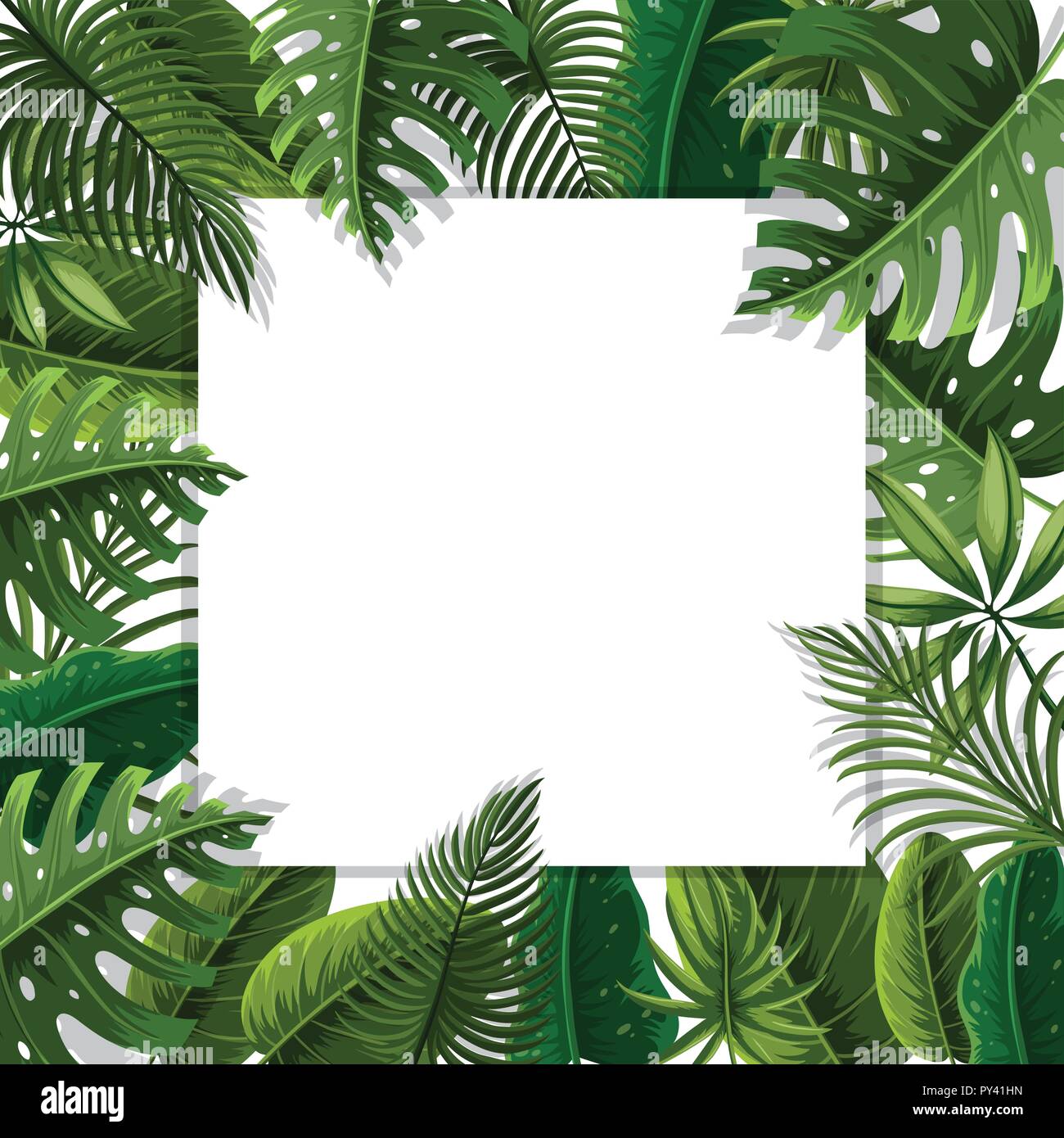 A beautiful leaf border illustration Stock Vector Image & Art - Alamy