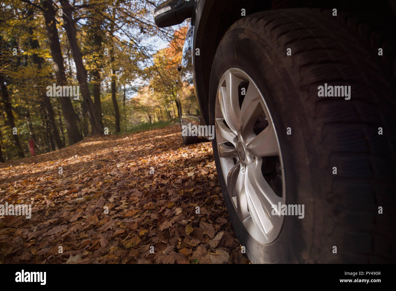 Picture of wheel of car parked in forest Stock Photo - Alamy