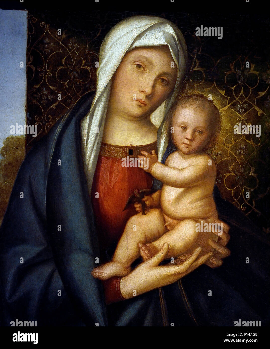 Madonna and Child Playing with a Little Bird 1508 - 1510 Boccaccio Boccaccino 1493-1525 15-16th Century, Italy, Italian. Stock Photo