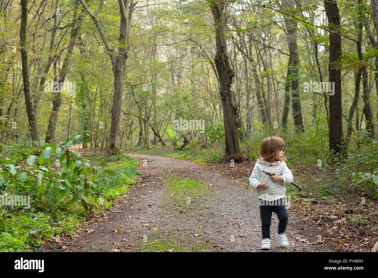 Blonde toddler girl walking alone in autumn woodland scenery. Parco del Ticino, La Fagiana, Magenta, Lombardy, Italy. Stock Photo
