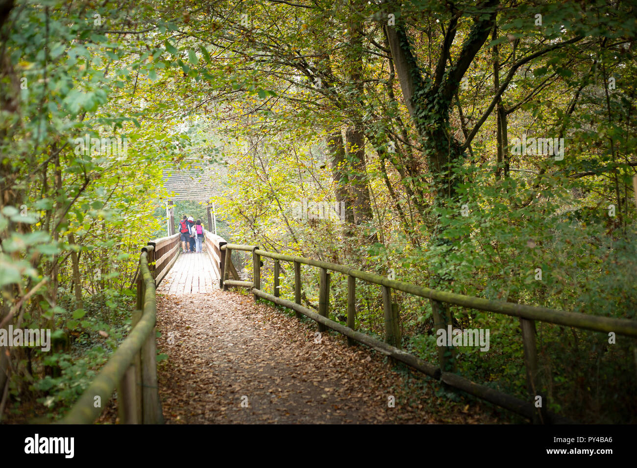 Pedestral bridge in the woods with people hiking in La Fagiana, Parco Ticino, Magenta, Italy. Stock Photo
