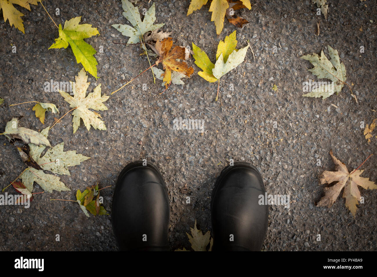 Top view of black rubber boots on asphalt and fallen leaves ground. Autumn bakground, wallpaper. Stock Photo