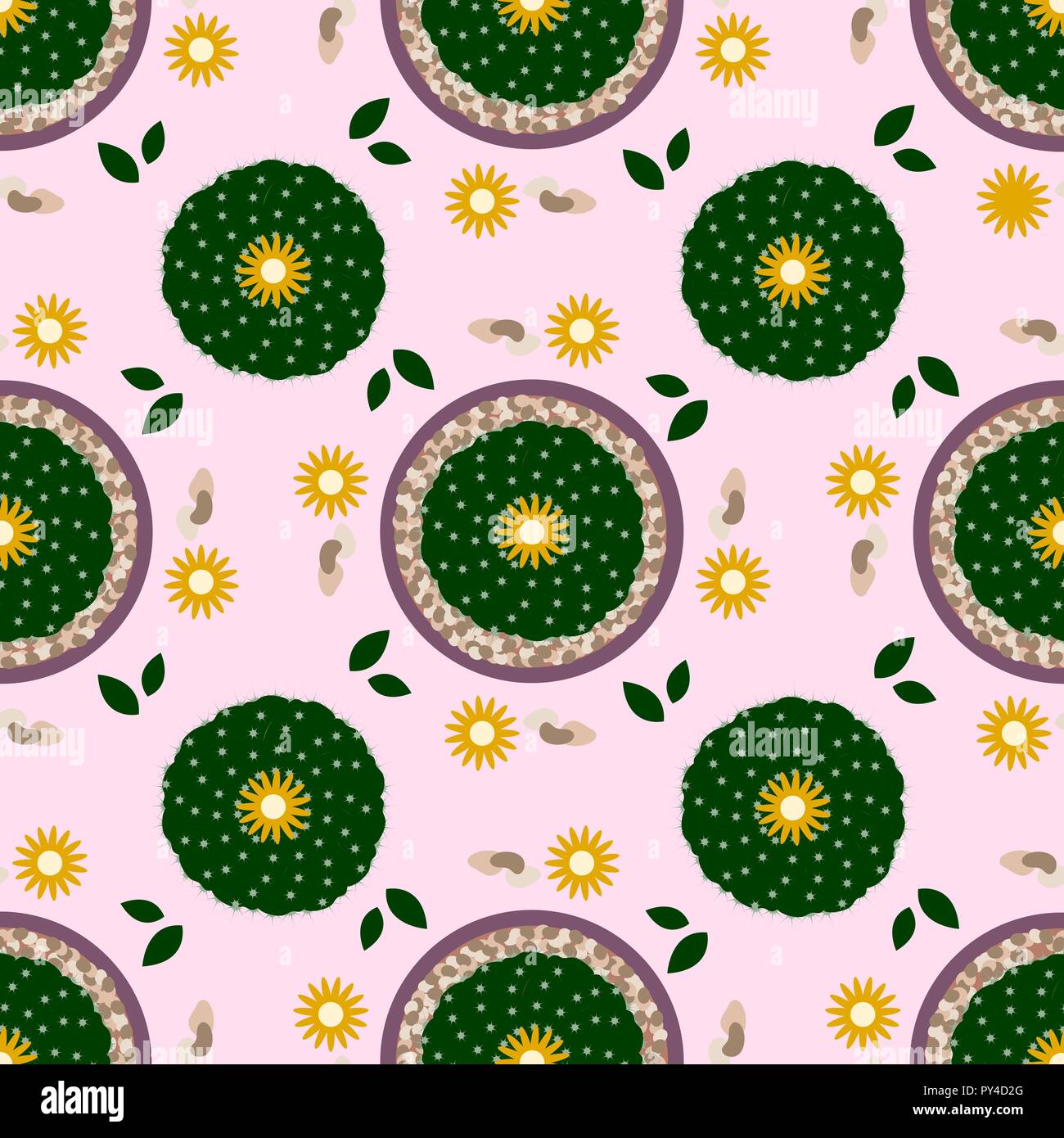 Seamless pattern with potted cactus. Vector illustration with home ...