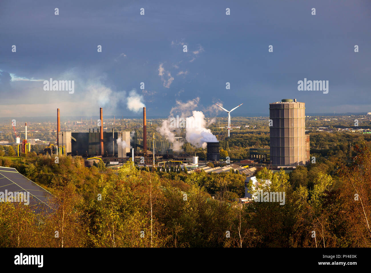 download the download the 65 story treehouse 2015