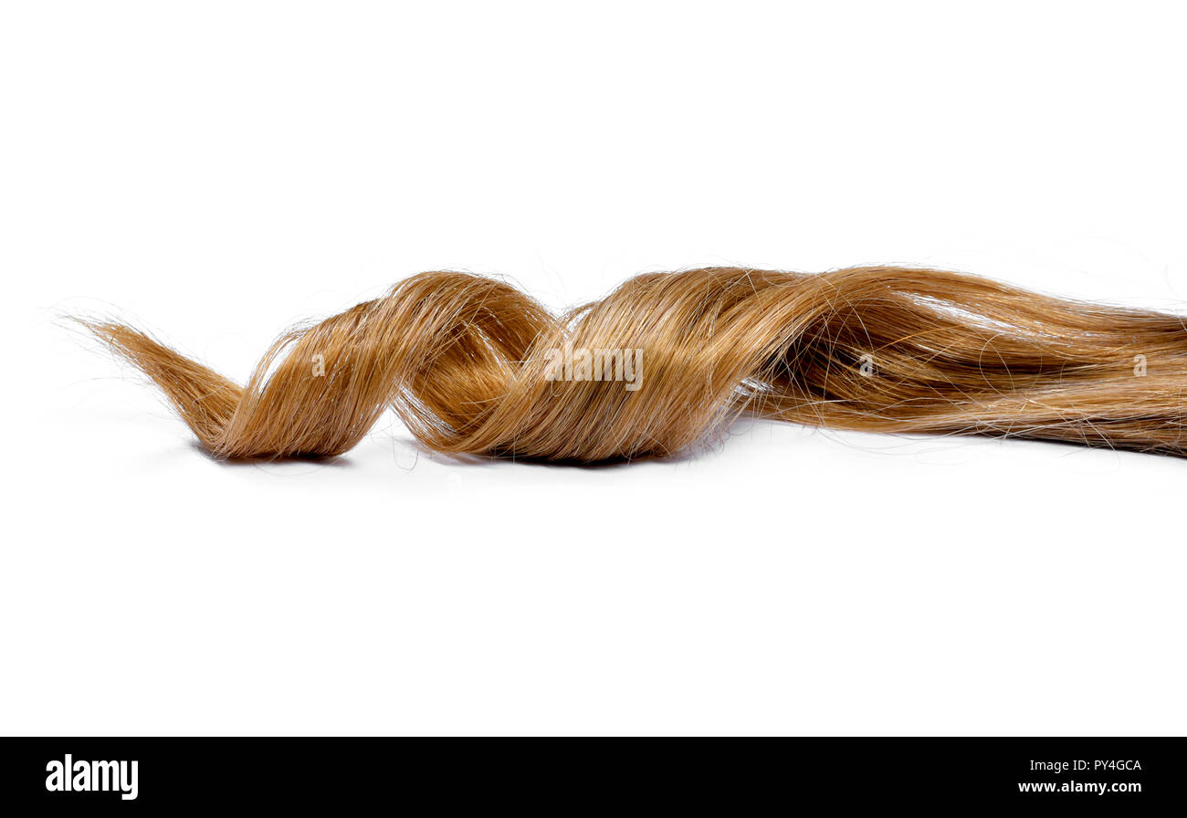 Beautiful brunette hair, isolated on white background. Long brown hair tail, curly and healthy hair, design element or hair cut theme. Stock Photo
