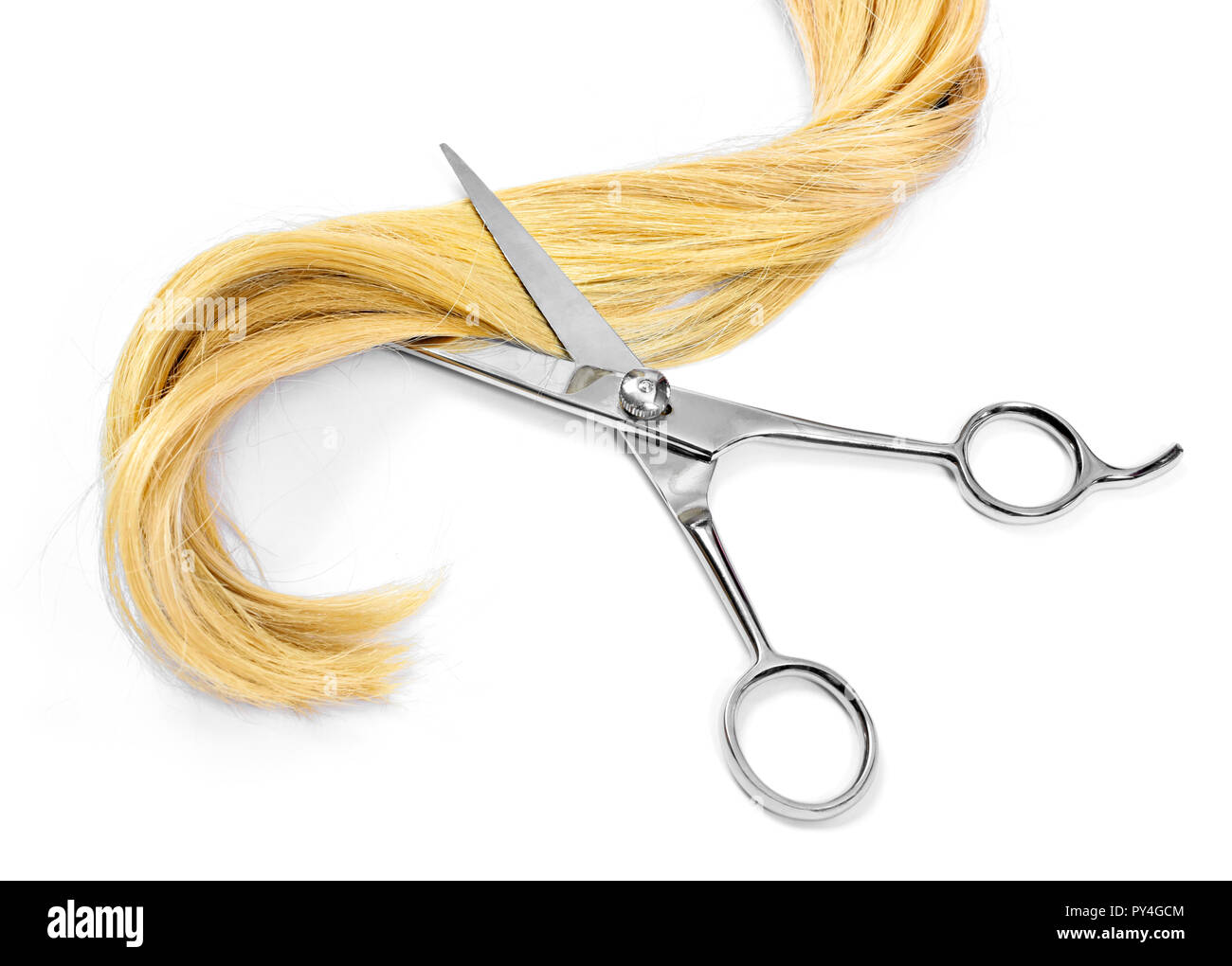 Beautiful blond hair and scissors, isolated on white background. Long blonde hair tail, curly and healthy hair, hair cutting theme. Stock Photo
