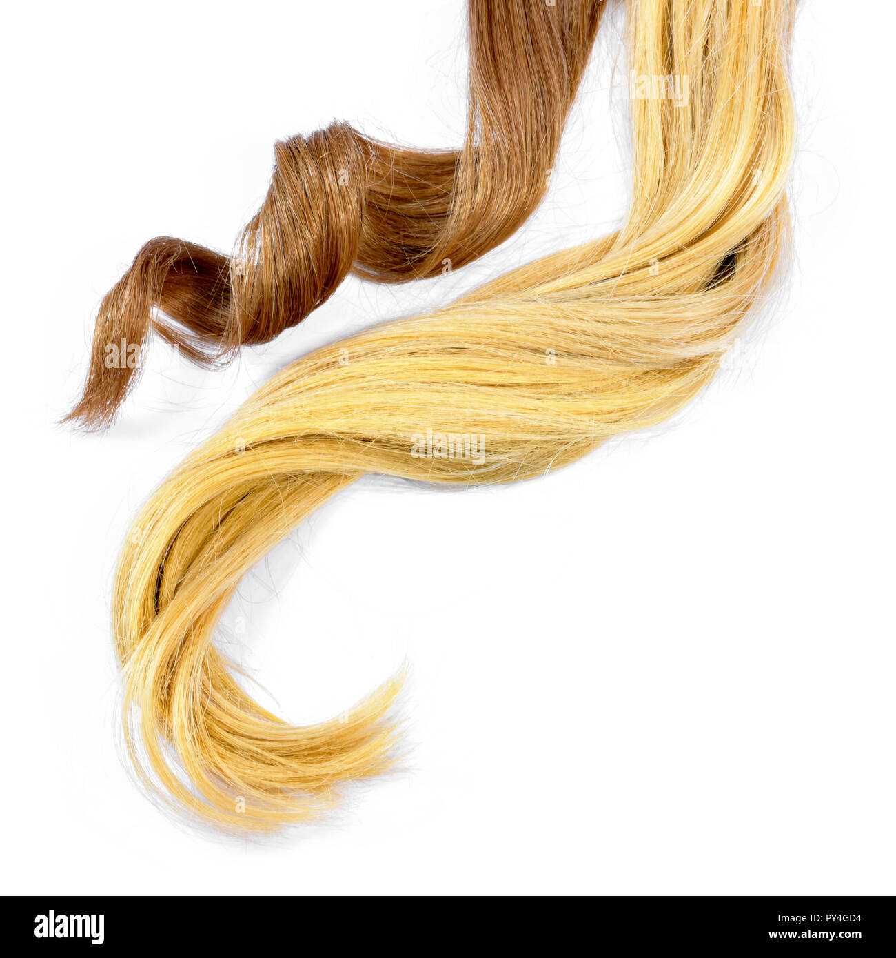 Beautiful brunette and blonde hair tails, isolated on white background. Long brown and blond hair tail, curly and healthy hair, design element or hair Stock Photo