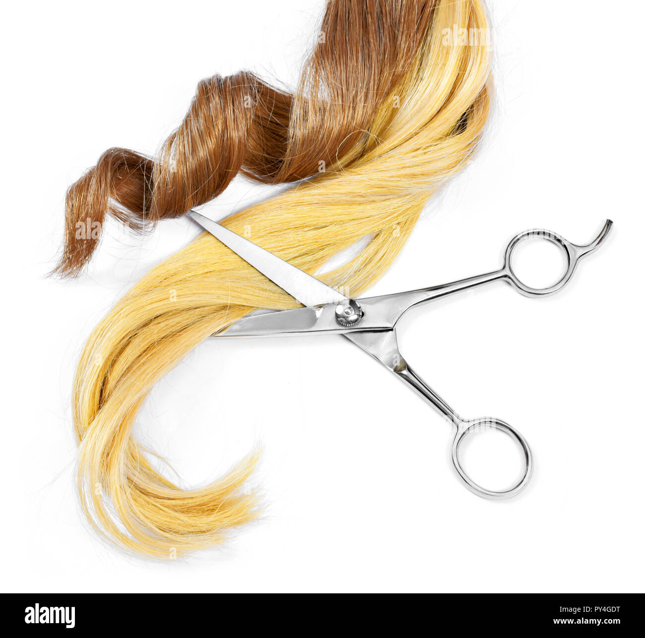 Beautiful brunette hair and scissors, isolated on white background. Long brown hair tail, curly and healthy hair, hair cutting theme. Stock Photo