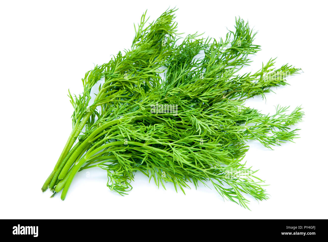 dill isolated on a white background Stock Photo