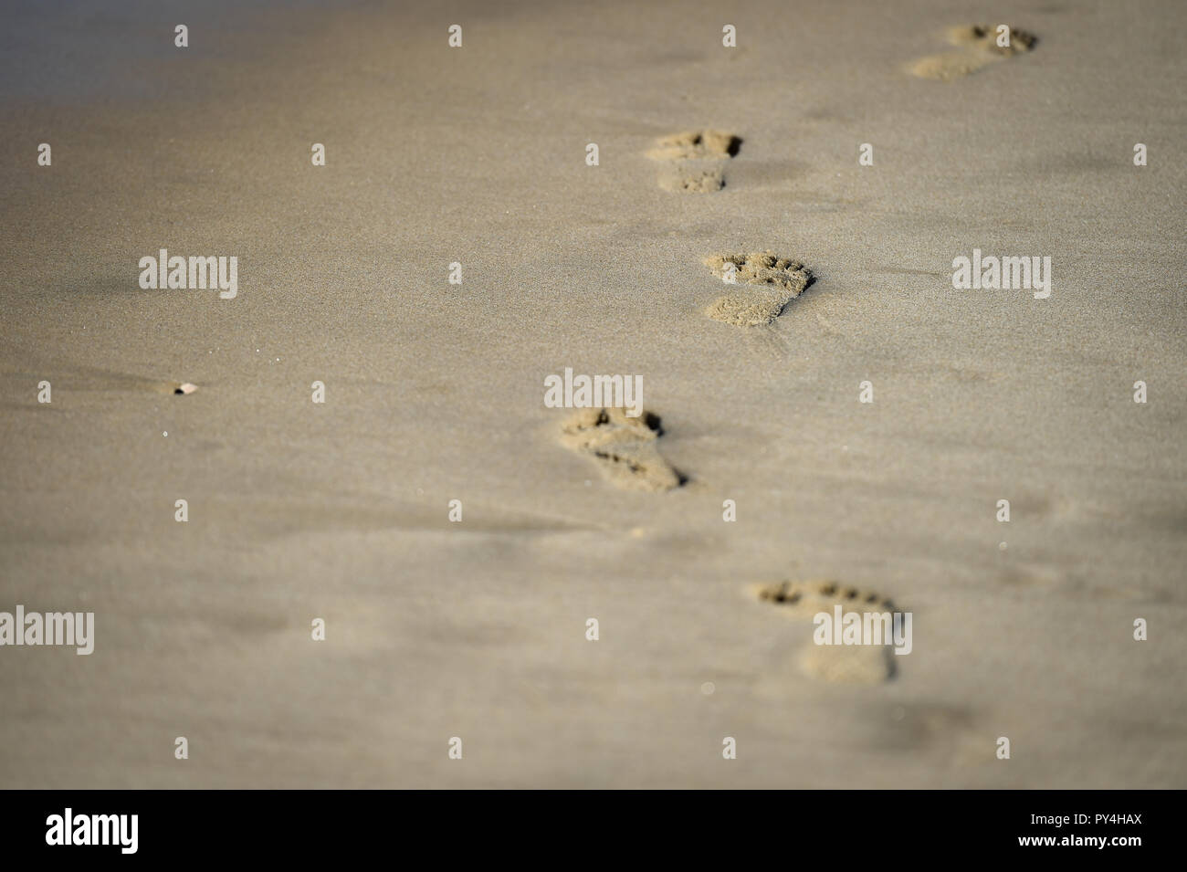 Detail shot with man footprints in the sand on a beach Stock Photo - Alamy