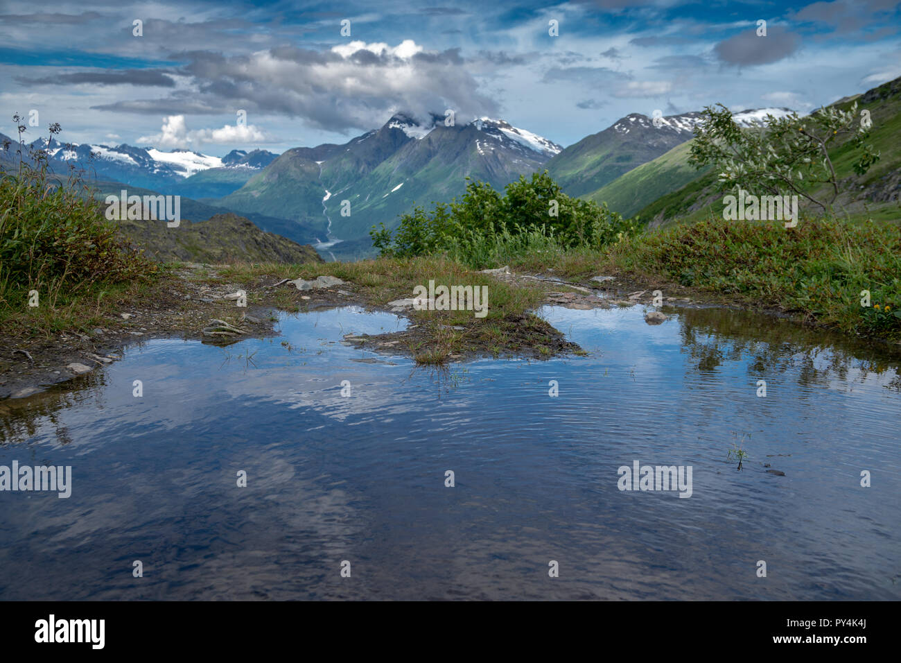 Small pond along the Trail of ’98 off the Richardson Highway near Valdez Alaska. This was an original trail of the Klondike Gold Rush, and goes throug Stock Photo