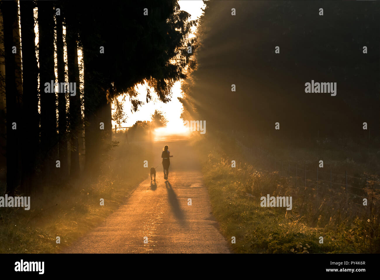 Woman with dog is running over a forest road. It is a foggy autumn morning. She is walking in the sun. Stock Photo