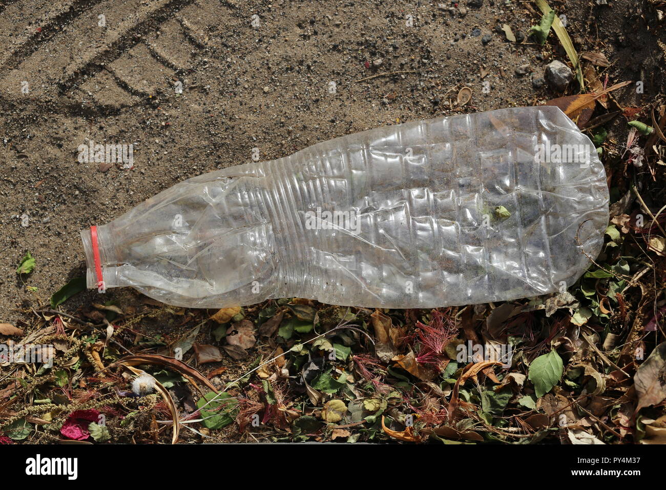 Crushed Plastic Bottle on the Ground. Squeezed plastic bottle on the land. Disposable bottle thrown away on the ground, on dry fall - leaves and wilte Stock Photo