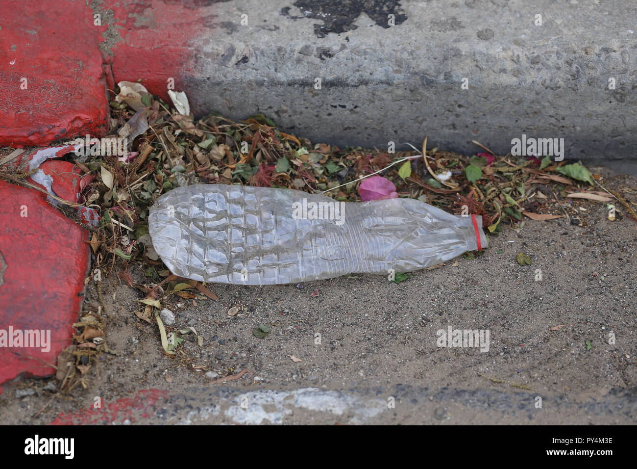 Crushed Plastic Bottle on the Asphalt road. Squeezed plastic bottle on the road on a stack of dry leaves. Disposable bottle thrown away on the ground, Stock Photo
