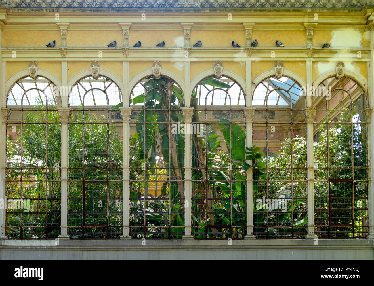 Abandoned greenhouse abandoned hi-res stock photography and images - Alamy