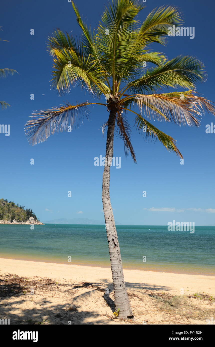 Picnic bay, Island, Queensland Stock Photo Alamy