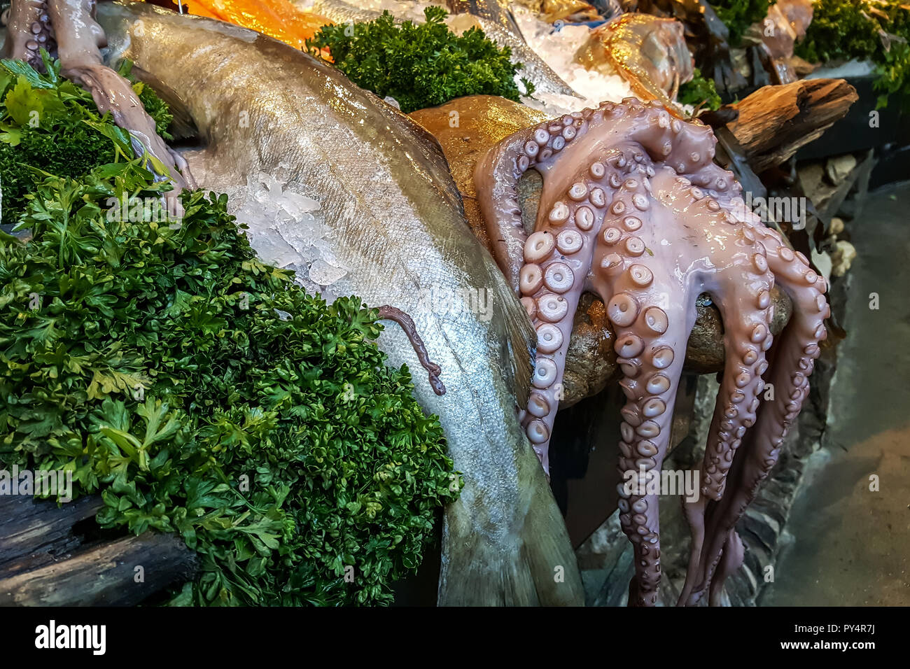 Cod eyes hi-res stock photography and images - Alamy