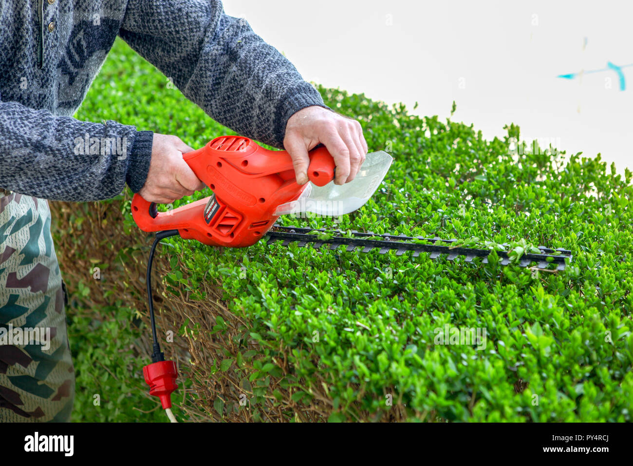 Hedge trimming with automatic scissors Stock Photo Alamy