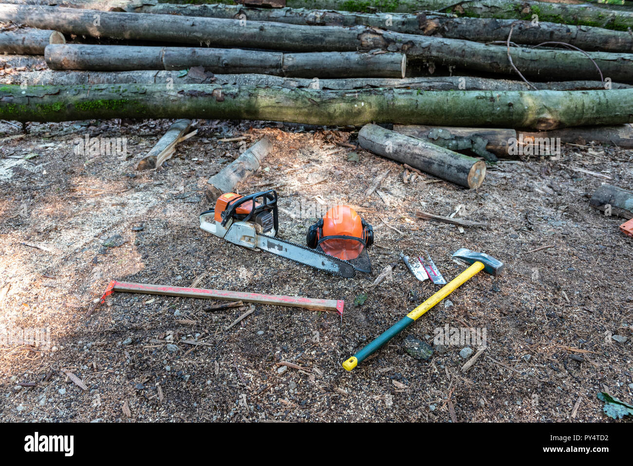 Tools of lumberjack in forest Stock Photo - Alamy