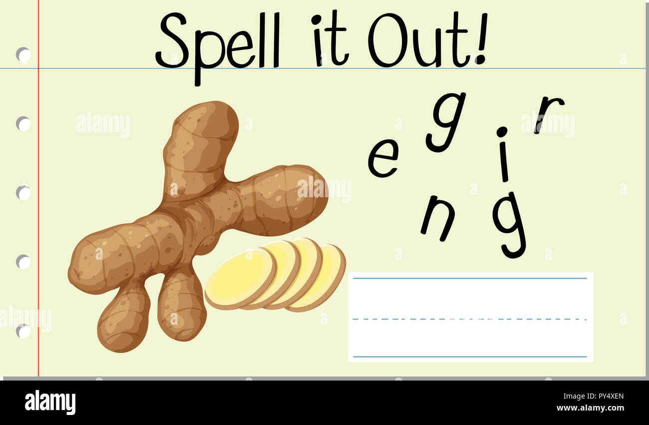 Spell English word ginger illustration Stock Vector Image & Art Alamy