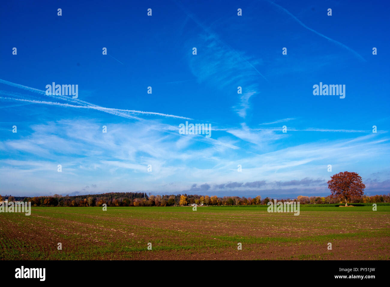 Concept landscape : Autumn day in october Stock Photo