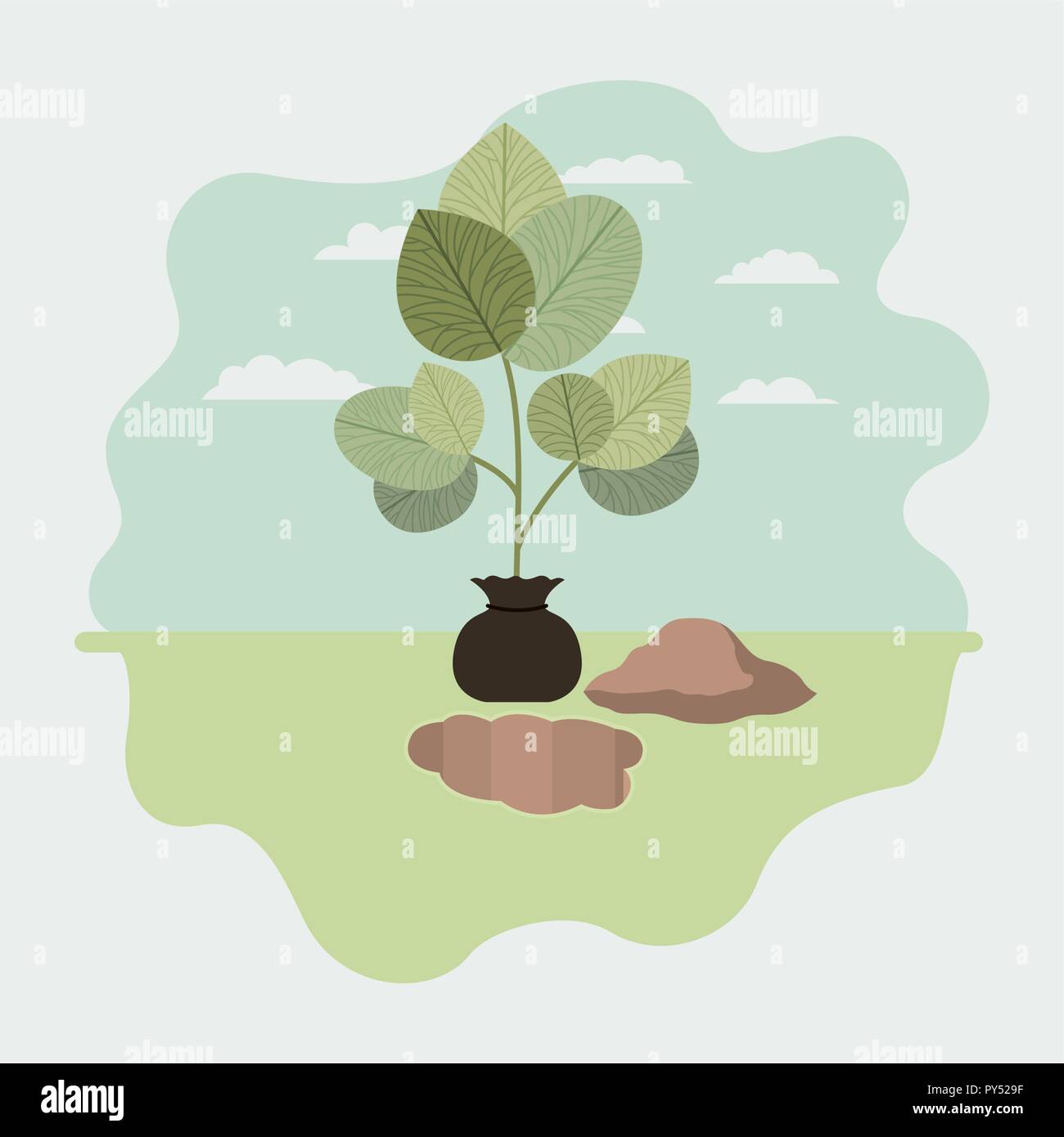 tree plant cultivated in sack Stock Vector Image & Art - Alamy