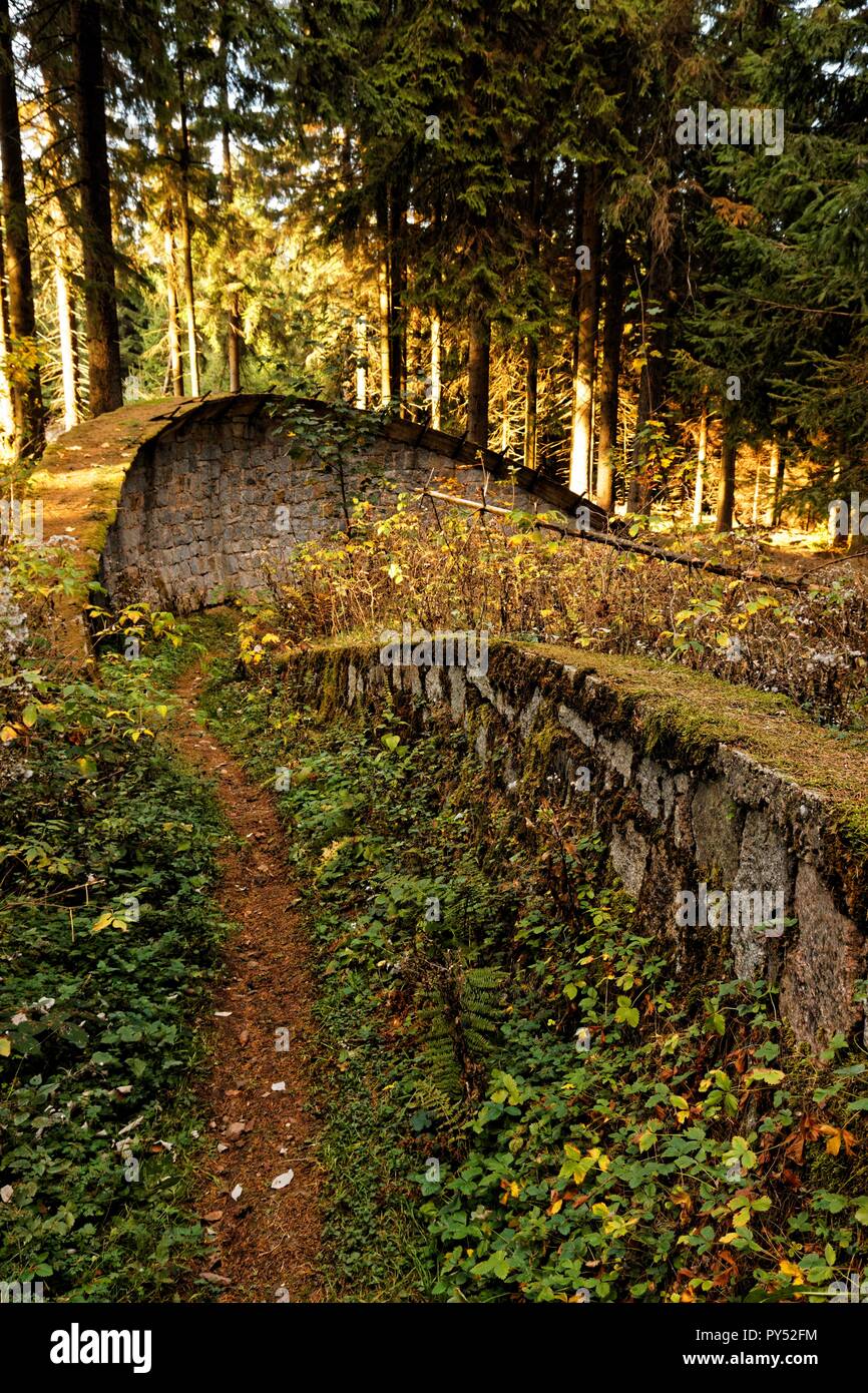 old bobsled near Friedrichroda in Thuringia a lost place Stock Photo