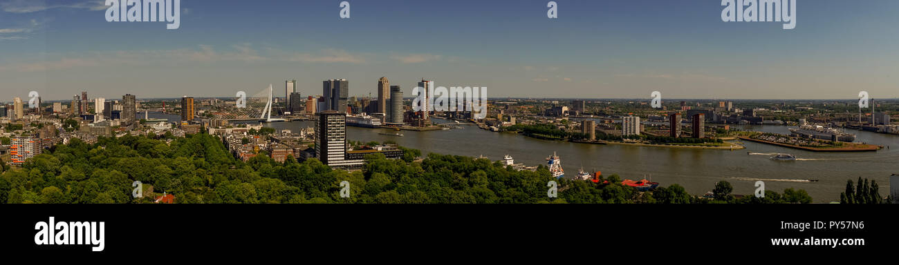 netherlands, rotterdam, the cityscape and skyline of rotterdam with