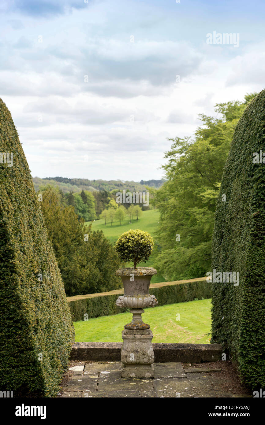 Topiary on the terrace at the Miserden Estate in Gloucestershire UK Stock Photo