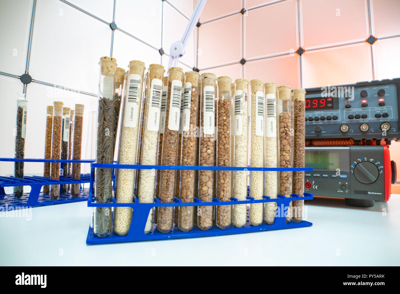 Gene banks plants.  Study of agricultural seeds in the lab Stock Photo
