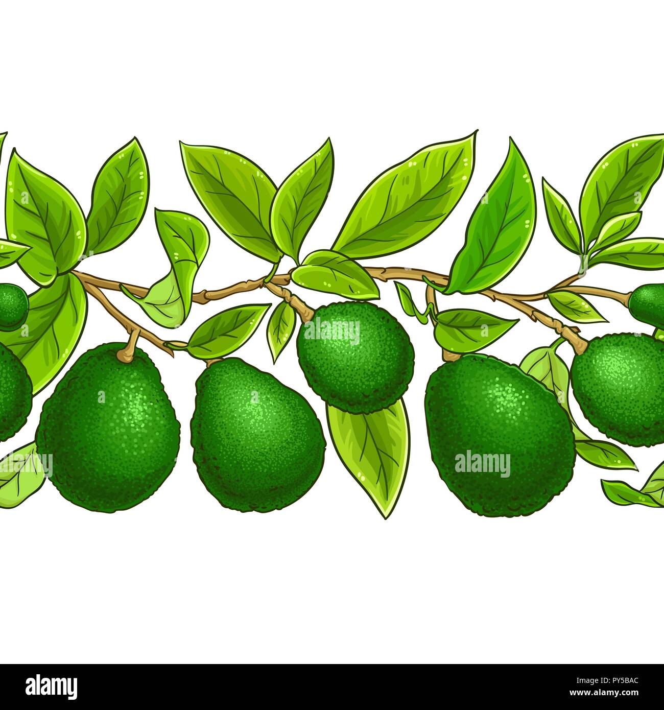 avocado vector pattern on white background Stock Vector