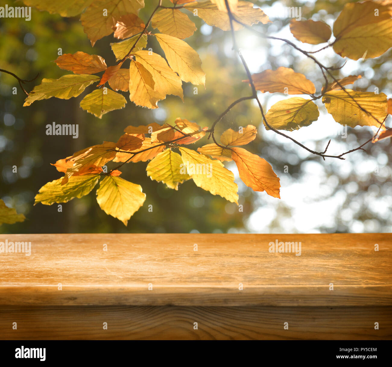 Empty wooden deck table with autumn leaves background. Ready for ...