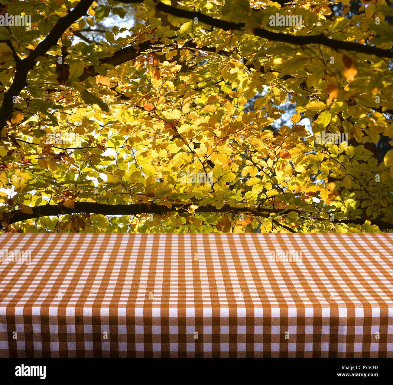 Empty table with orange gingham tablecloth over autumn leaves