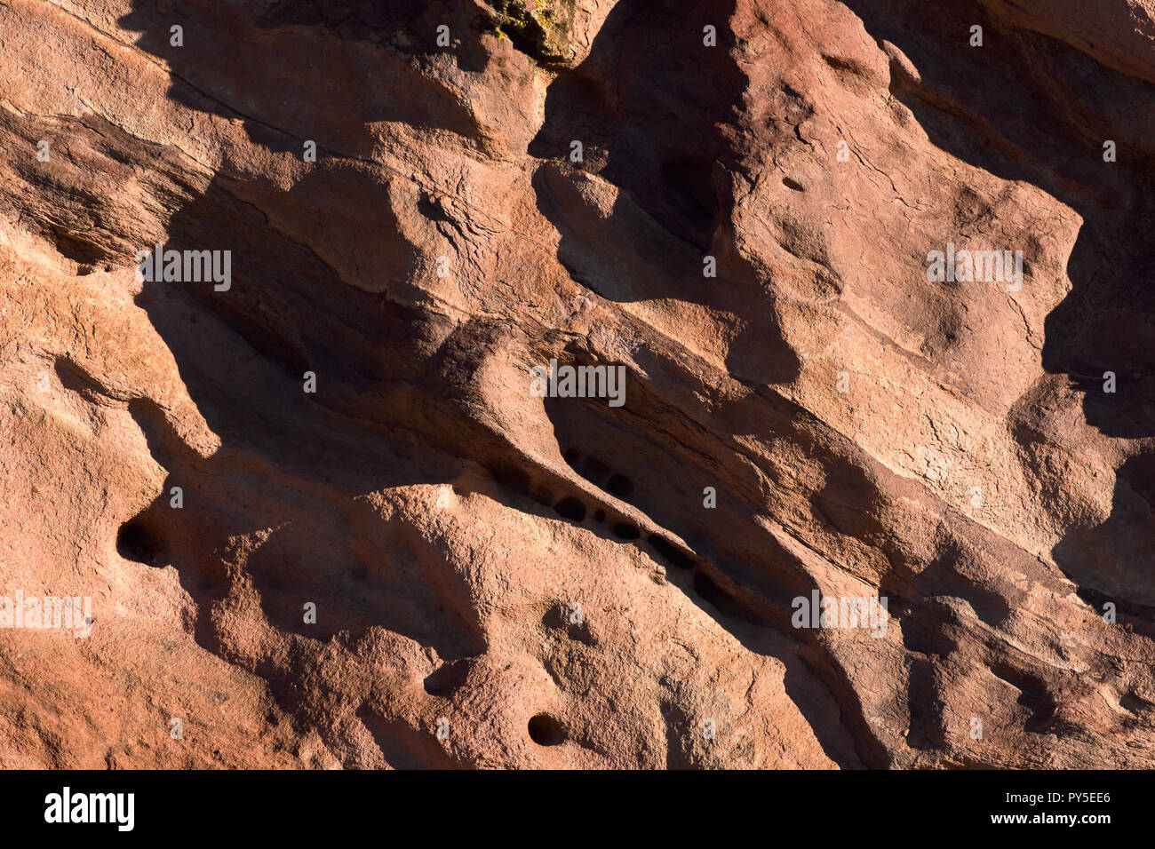 Red rock wind worn texture at sunrise Stock Photo