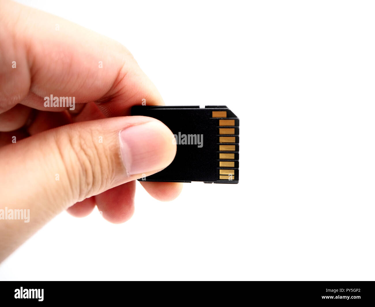 Hand holding a memory card isolated on white background Stock Photo - Alamy