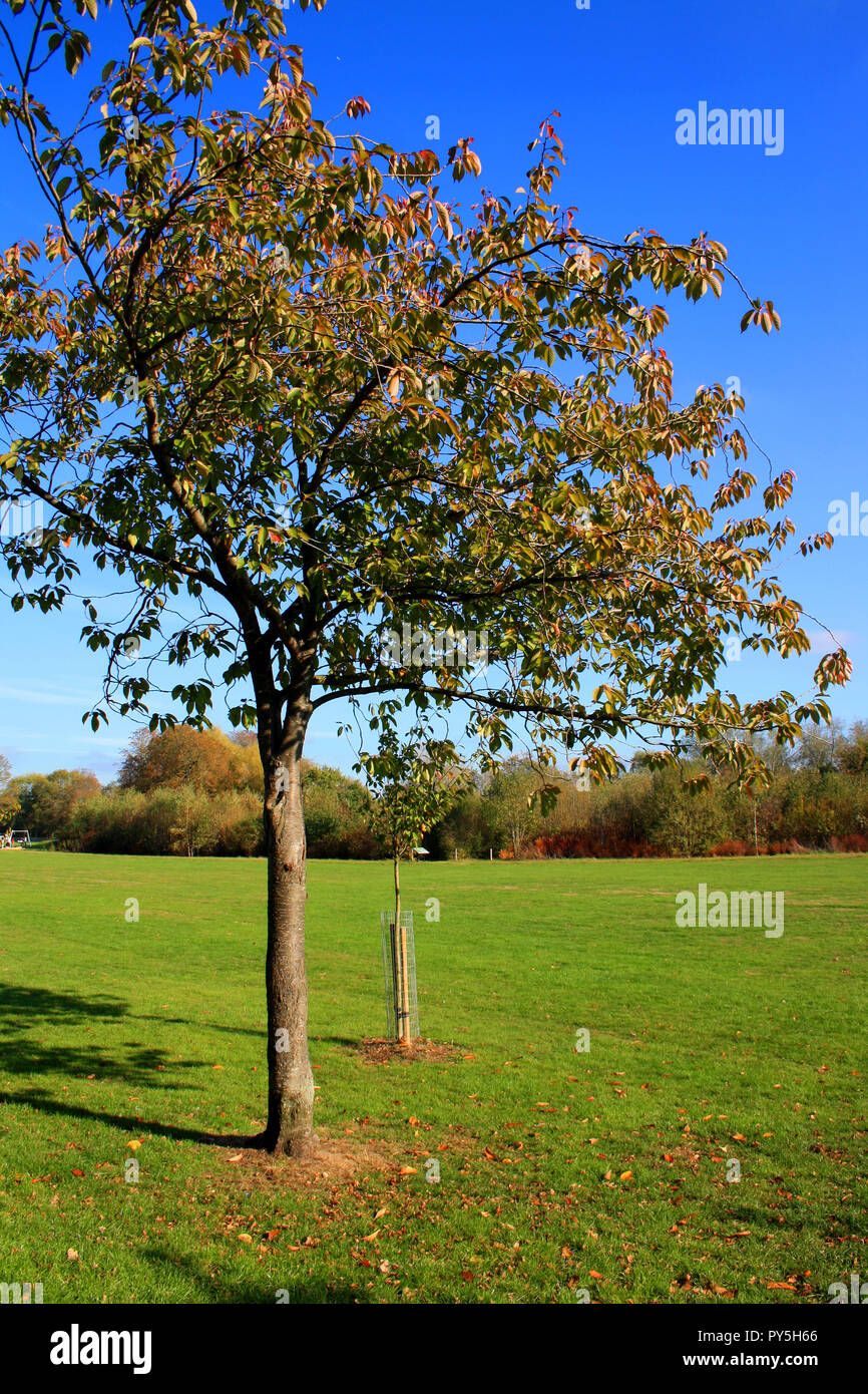 London borough of redbridge hires stock photography and images Alamy