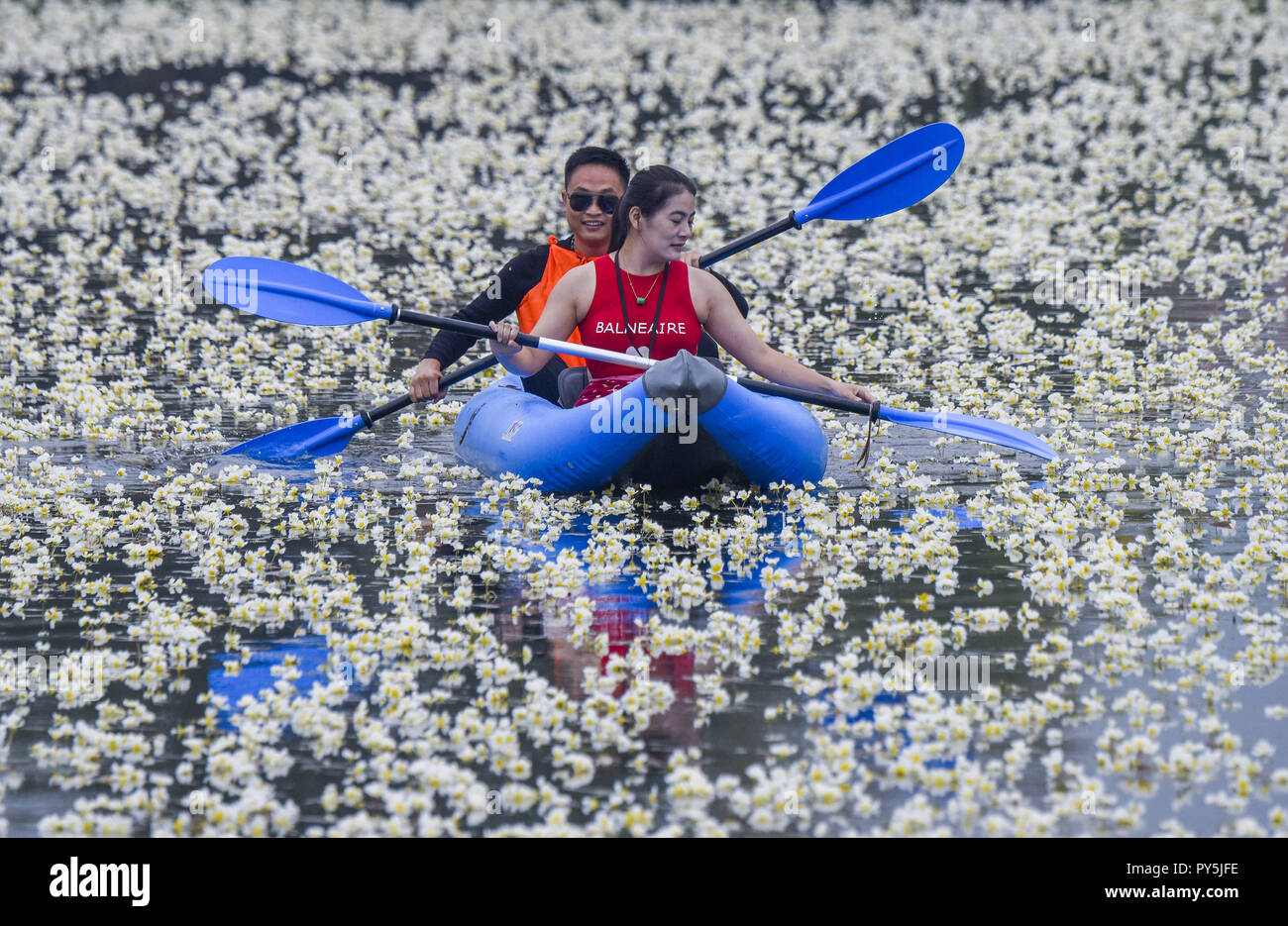 Xinjian, China. 25th Oct, 2018. Kayakers attempt to paddle through Ottelia flower blossoms on the river in Hechi, southwest China's Guangxi. Ottelia is a genus of an aquatic plant family Hydrocharitaceae described as a genus in 1805. The genus is native to tropical and subtropical regions of Africa, Asia, South America, and Australia. Credit: SIPA Asia/ZUMA Wire/Alamy Live News Stock Photo