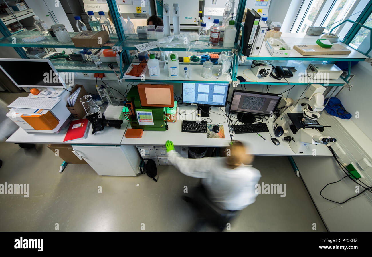 Langen, Germany. 25th Oct, 2018. An employee sits at her workplace in ...