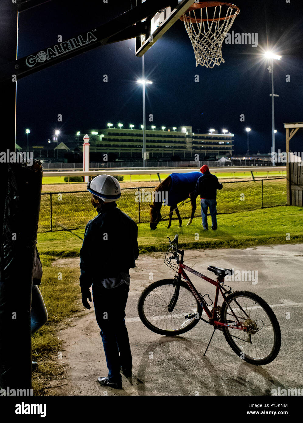 Louisville, KY, USA. 25th Oct, 2018. October 25, 2018 : Mind Your Biscuits, trained by Chad Summers, grazes by the track and checks out the competition at Churchill Downs on October 25, 2018 in Louisville, Kentucky. Scott Serio/Eclipse Sportswire/CSM/Alamy Live News Stock Photo