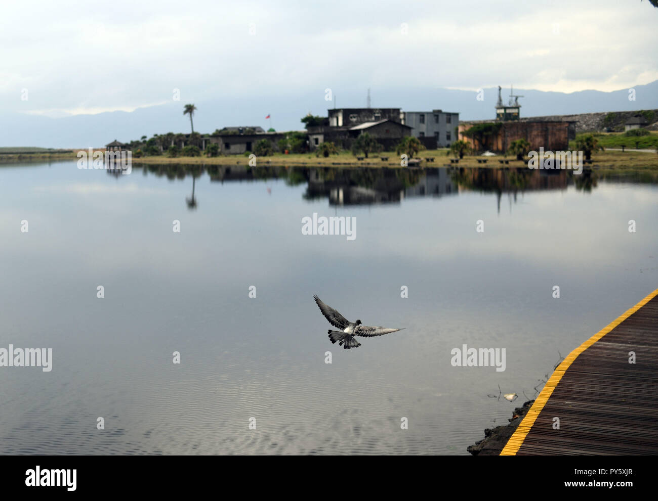 Yilan. 25th Oct, 2018. A pigeon flies over the Kueishan island in ...