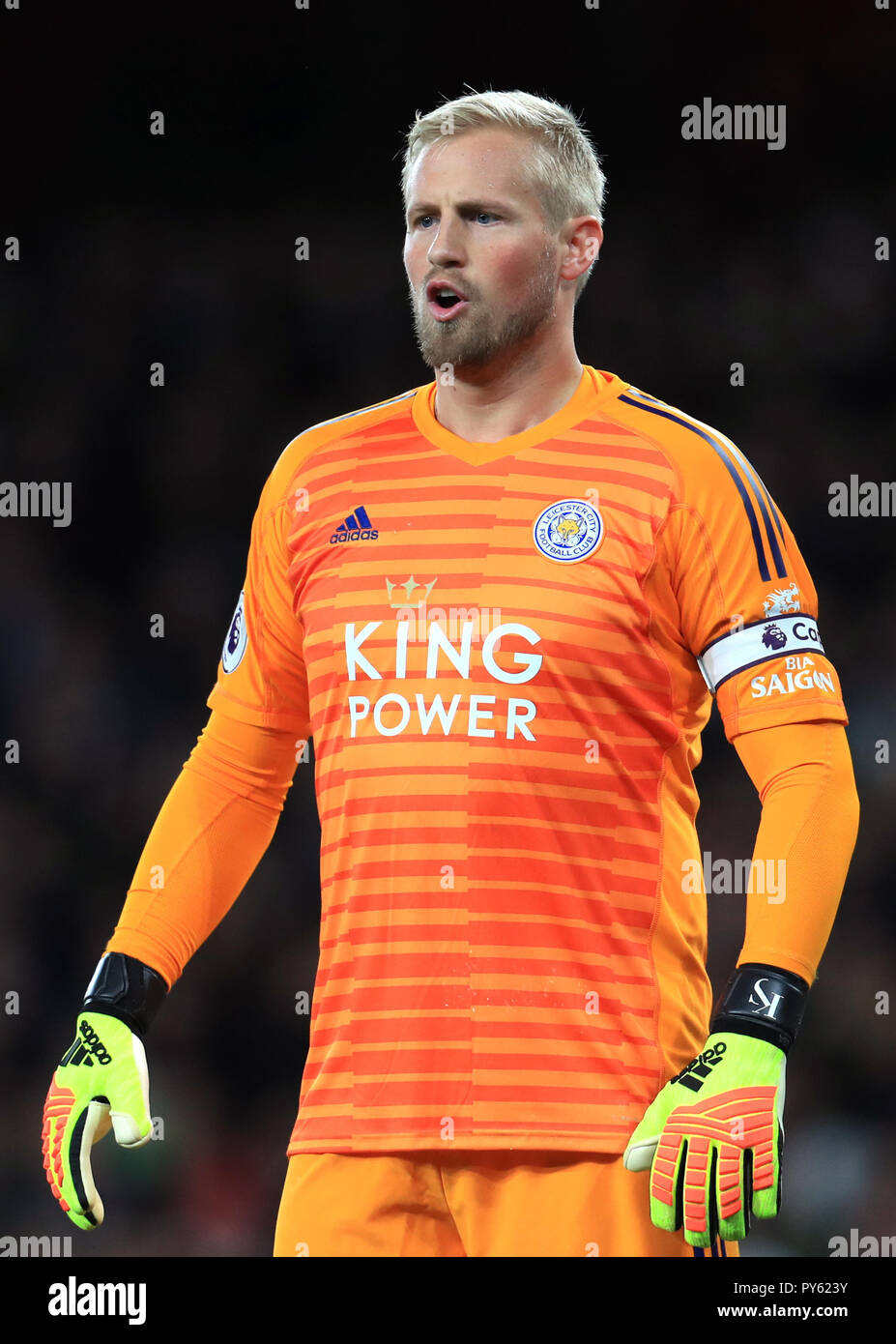 leicester city goalie kit