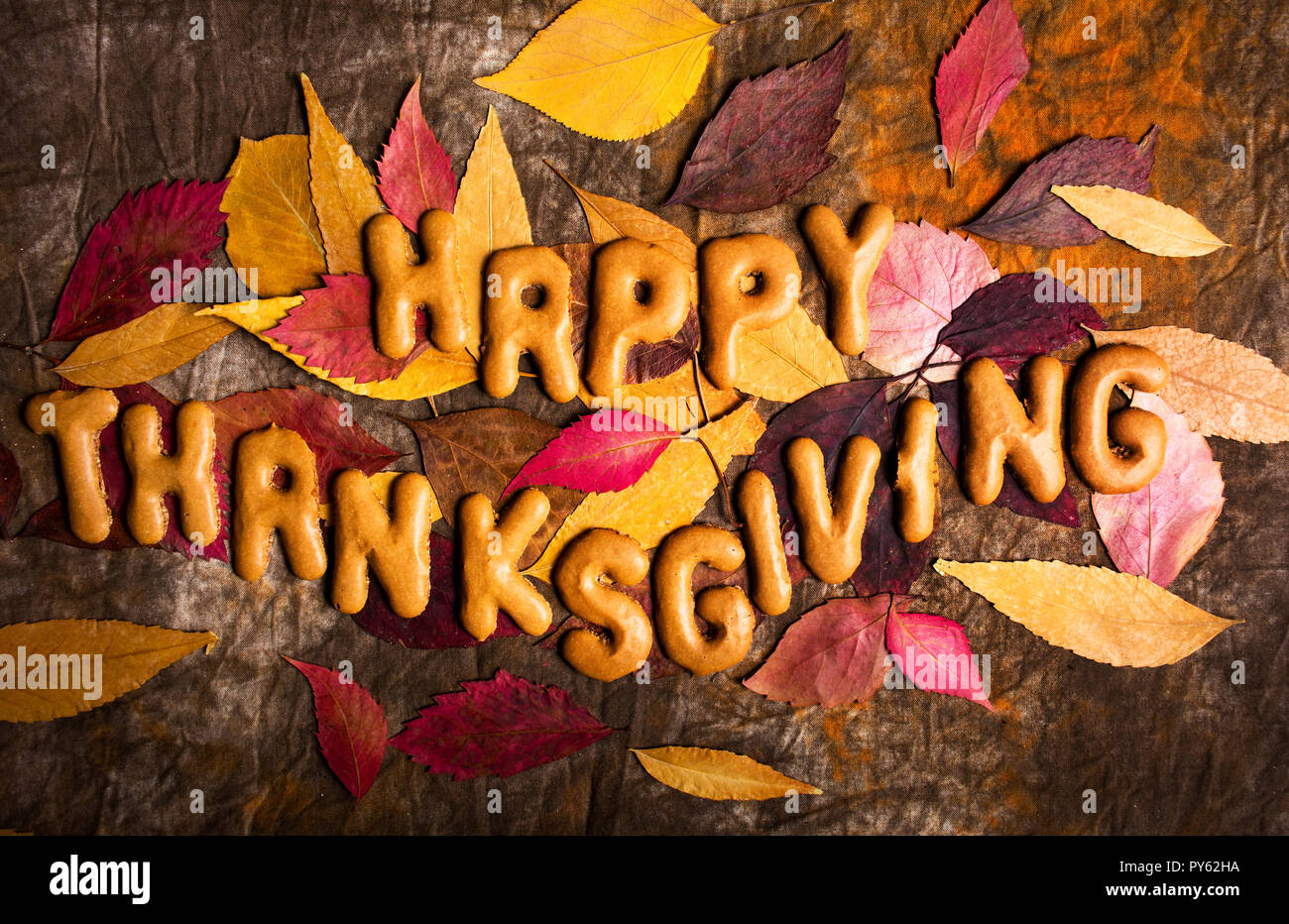 Thanksgiving day background with with seasonal decorations Stock Photo