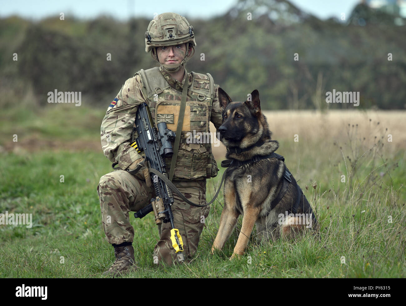 The royal army veterinary corps hi-res stock photography and images - Alamy