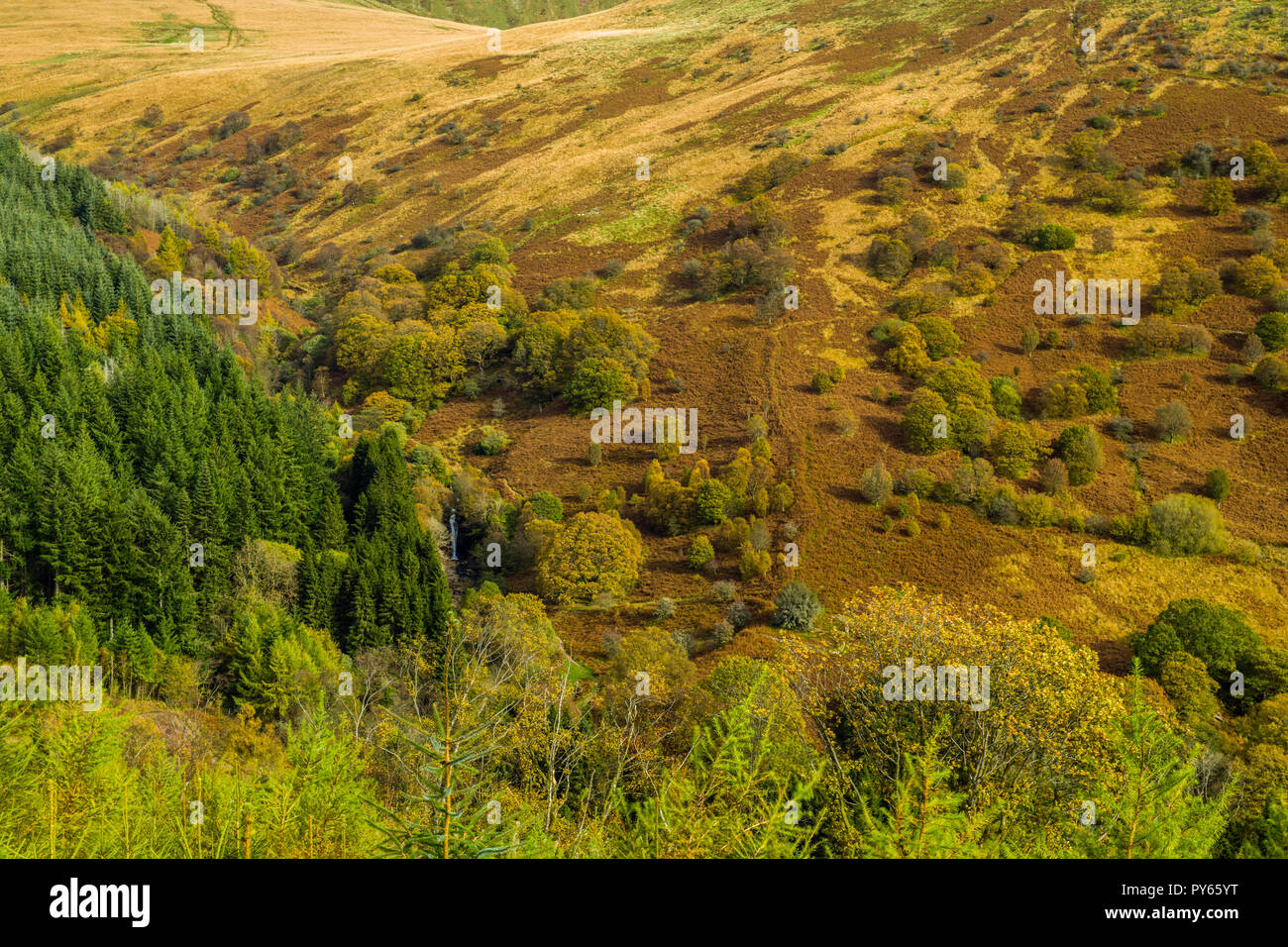 The Hillside of Wayn Rydd in autumn in the Central Brecon Beacons South Wales Stock Photo