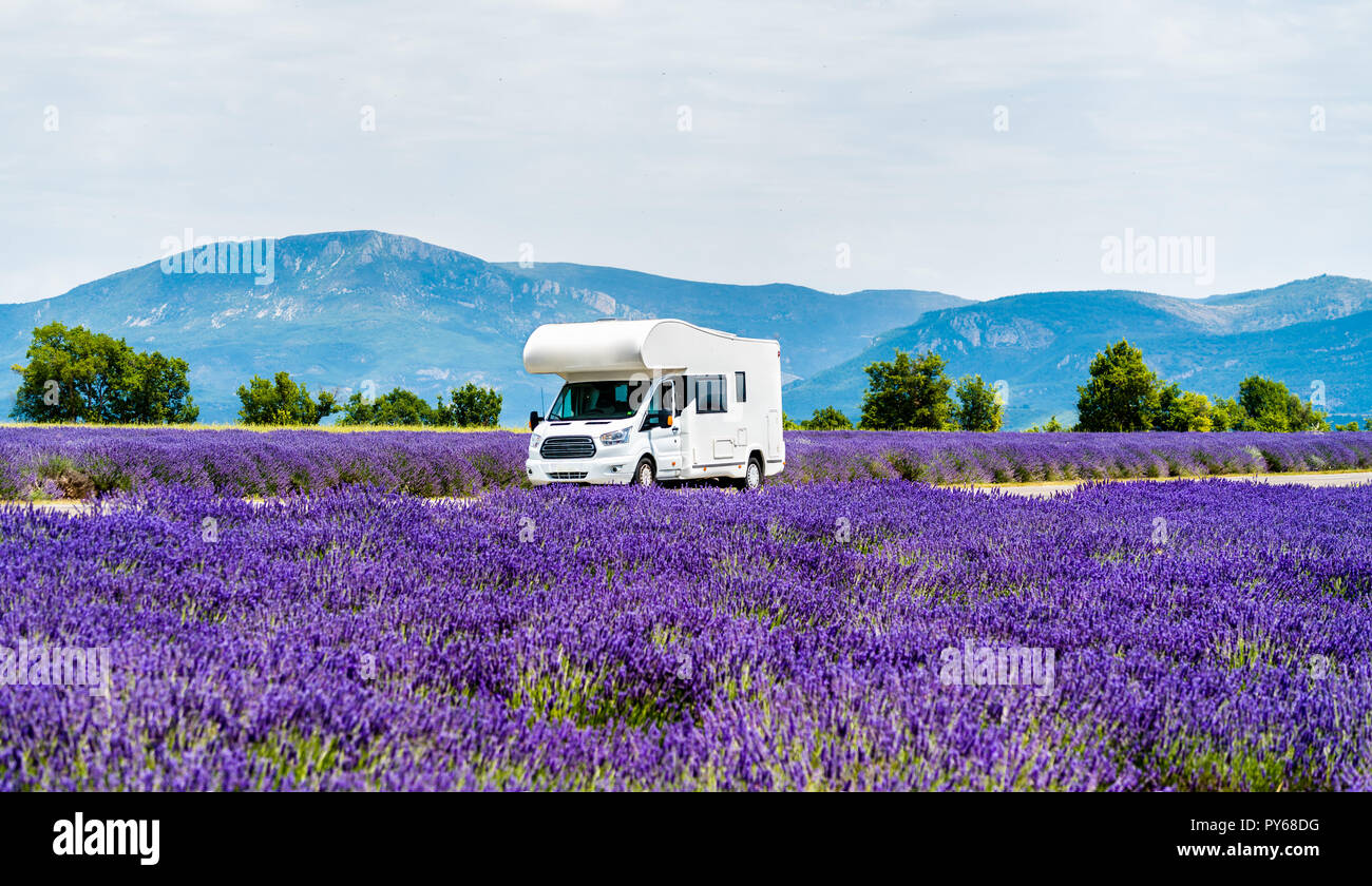 Motorhome in a lavender field in Provence, France Stock Photo