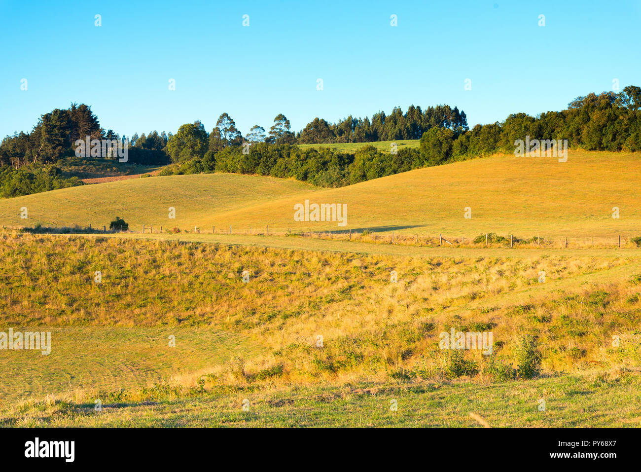 Farms in Puerto Octay at the shores of Lake Llanquihue, X Region de Los