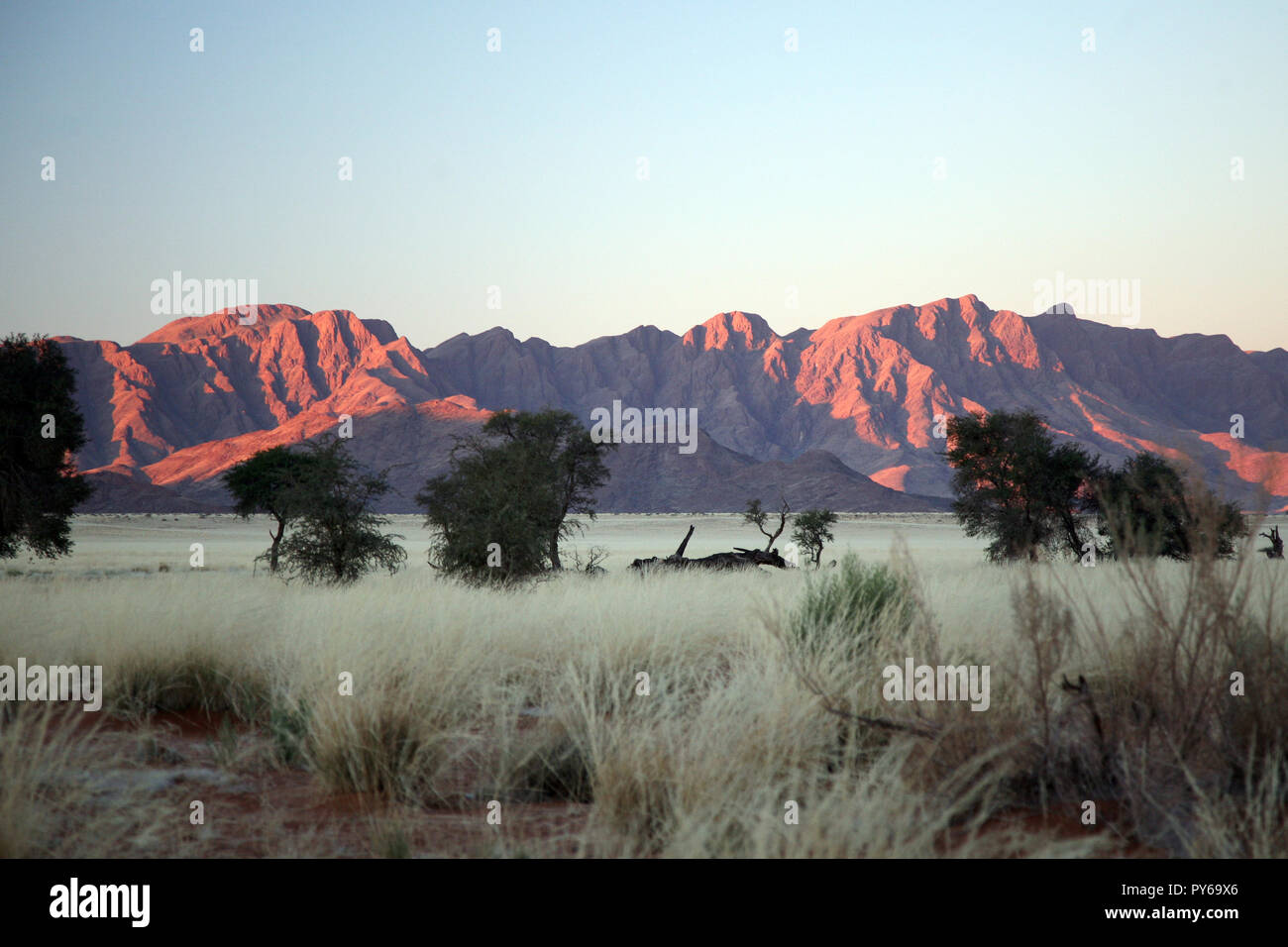 Namib desert fog hi-res stock photography and images - Alamy